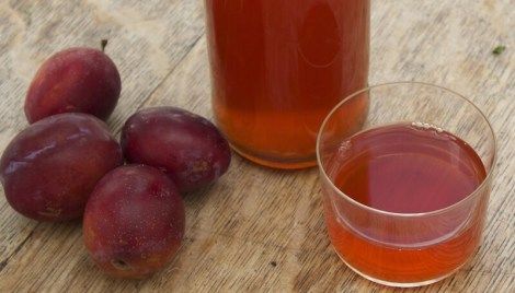 How to Make Rhubarb Wine Rhubarb Wine, Homemade Liquor, Wine Recipe, Make Your Own Wine, Homemade Foods, Wine Magazine, Plum Wine, Homemade Wine, Fruit Wine