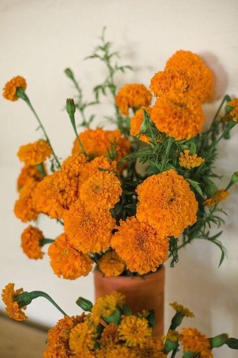 Flowers 🌺 on Twitter: "… " Marigold Flowers Wedding, Marigold Wedding Bouquet, Marigolds Aesthetic, Marigold Flower Aesthetic, Marigold Aesthetic, Marigold Flower Decoration, Marigold Bouquet, Marigold Decor, Orange Marigolds