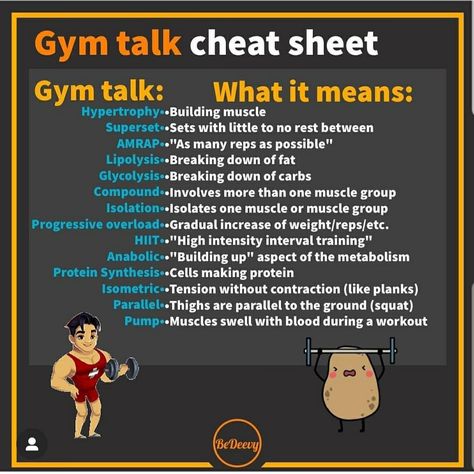 Workout Planner Ideas, Gym Workout Guide, Gym Workout Planner, Best Workout Plan, Exercise Physiology, Lifting Workouts, Bodybuilding Workout Plan, Gym Workout Chart, Weight Lifting Workouts