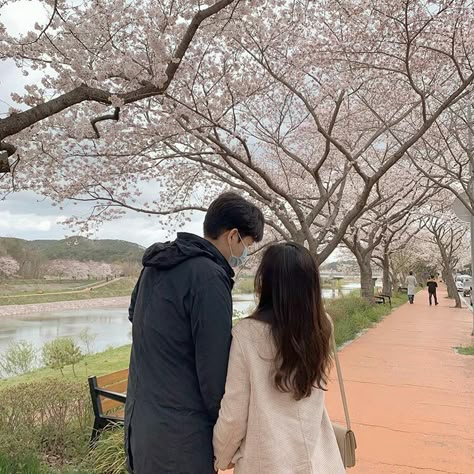 Couples In Japan, Couple Under Cherry Blossom Tree, Couple Cherry Blossom, Cherry Blossom Couple, Couple In Japan, Couple Japan, Suga Style, Korea Couple, Soft Couple