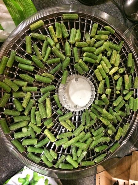 Dehydrated Green Beans, Bean Diet, Air Fried Green Beans, Healthy Green Beans, Delicious Green Beans, Easy Dog Treat Recipes, Easy Dog Treats, Freeze Greens, Frozen Green Beans