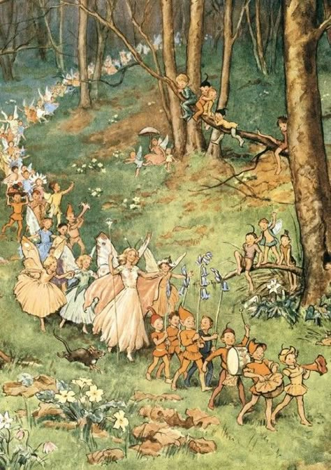 Margaret Tarrant, 동화 삽화, Art Mignon, Fairytale Illustration, Vintage Fairies, Flower Fairies, Arte Inspo, Fairytale Art, Art Et Illustration