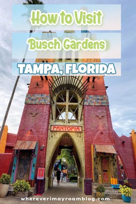 Let me share my tried and true tricks for how to visit Busch Gardens Tampa for the ultimate theme park experience | What to expect Busch Gardens Saratoga Springs Disney, Florida Travel Destinations, Bush Garden, Clearwater Beach Florida, Busch Gardens Tampa, Florida Travel Guide, Spring Break Trips, Best Family Vacations, Busch Gardens