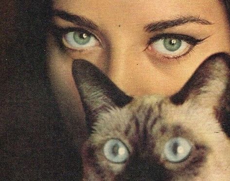 She And Her Cat, Art Amour, Cocoppa Wallpaper, Season Of The Witch, Pics Art, The Villain, Photography Inspo, Hippie Style, Pretty Pictures