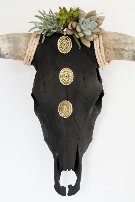 Diy Cow Skull Ideas, Bull Skull Decor, Skull Succulent, Deer Skull Decor, Deer Skull Art, Mystical Decor, Painted Skulls, Skull Ideas, Cow Skull Decor