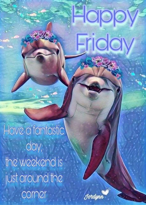 Afternoon Humor, Happy Friday Dance, Weekly Quotes, Good Friday Quotes, Edited Pictures, Morning Friday, Good Afternoon Quotes, Good Morning Happy Monday, Good Morning Happy Friday