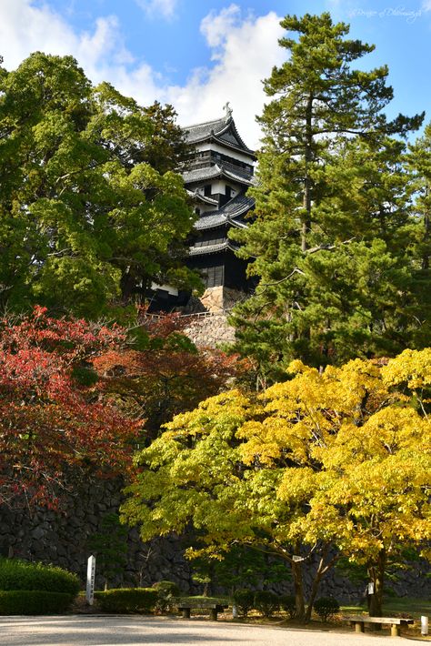 Autumn at Matsue Castle Big Bucket, Vertical Images, Travel Bucket, Travel Bucket List, Bucket List, Castle, Japan, Travel