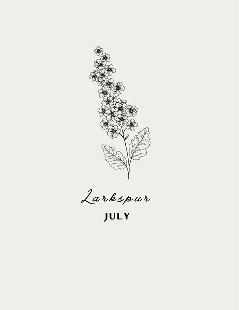 July And August Birth Flower Tattoo, Larkspur Flower Drawing, July Birth Flower Tattoo Larkspur, July Birth Flower Larkspur, July Birth Flowers, Larkspur Flower Tattoos, August Birth Flower Tattoo, Water Lily Drawing, July Birth Flower Tattoo