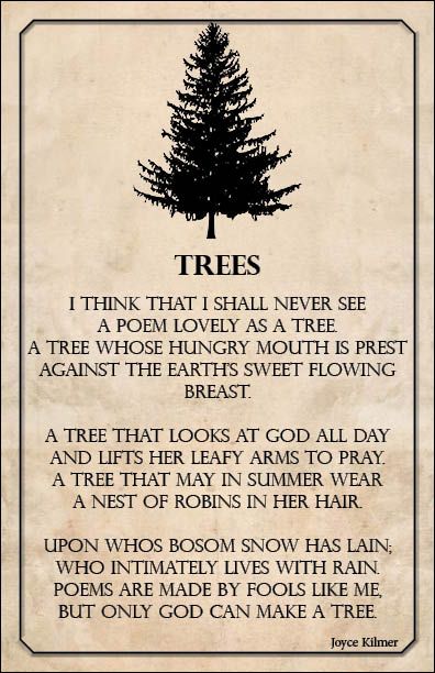 Trees - Joyce Kilmer Trees By Joyce Kilmer, Whimsical Poetry, Tree Poetry, Journaling Thoughts, Samurai Quotes, Joyce Kilmer, Autumn Tale, Old Poetry, Tree Poem