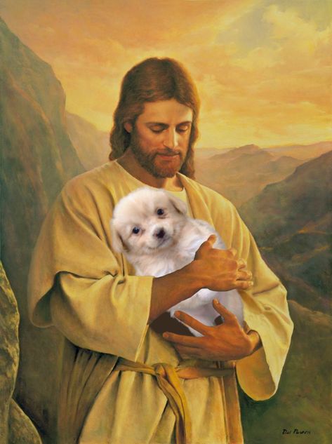 #개죽이 #jesusmeme #jesus #gaejuki #puppy Holding Puppy, Cat Captions, Witch Books, Goofy Pictures, Silly Dogs, Silly Animals, Little Puppies, 귀여운 동물, Dog Pictures