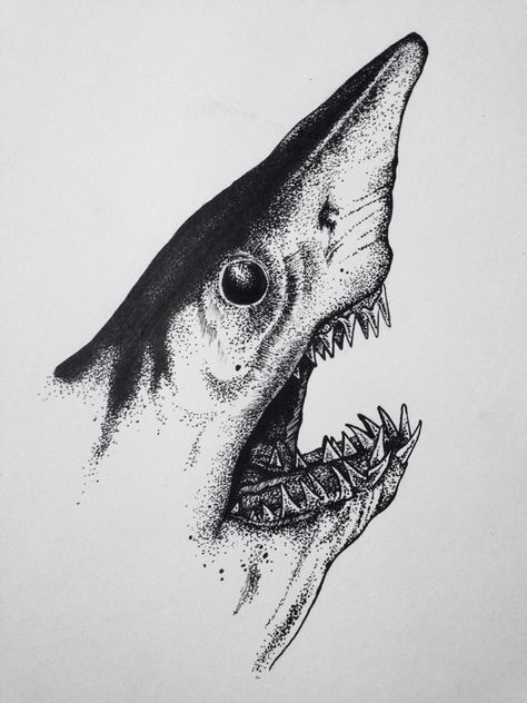 Coursework: shark pen drawing Shark Ink Drawing, Shark Pen Drawing, Cute Sharks Drawings, Stippling Art Animals, Animal Pen Drawings, Shark Drawing Sketches, Sharks Drawing, Draw A Shark, Shark Artwork