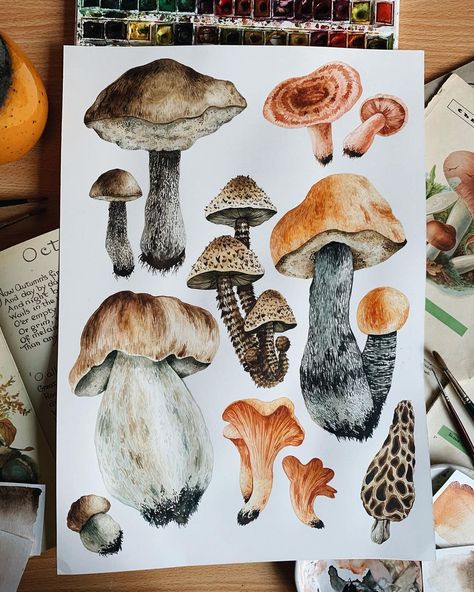 Watercolour Mushroom, Fungi Art, Art Mushroom, Mushroom Paint, Walnut Ink, Mushroom Drawing, Mushroom Print, Earthy Color Palette, Fall Watercolor