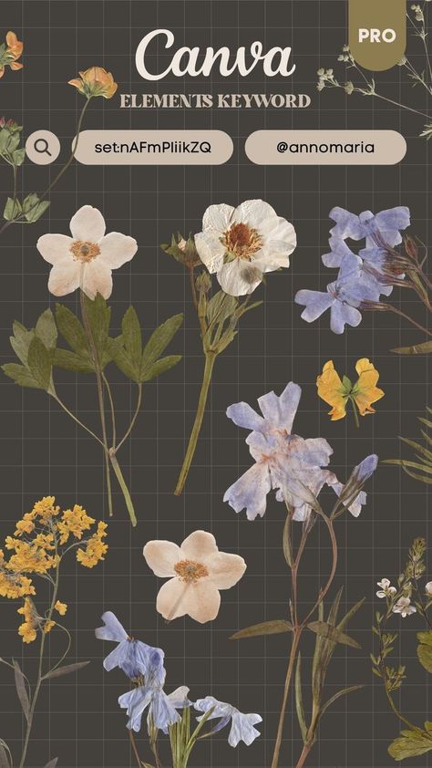 Canva Elements keyword - Pressed dried Flowers canvacodes #canvatemplate #natureelement #canvakeywordelement. Dried Flowers Aesthetic, Canva Keywords Elements, Canva Keywords, Canva Frames, Postage Stamp Design, Graphic Shapes Design, Online Scrapbook, Keyword Elements Canva, Canva Elements Keyword