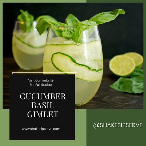 A Garden in a Glass: The Cucumber Basil Gimlet Welcome to Shake, Sip, Serve, where we transform classic cocktails with delightful twists. Today, we’re diving into a refreshing and aromatic summer drink: the Cucumber Basil Gimlet Basil Gimlet, Gin Gimlet, Cucumber Basil, Gimlet, Summer Drink, Classic Cocktails, Summer Drinks, Cocktail Recipes, A Garden