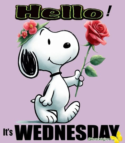 Hello It's Wednesday Pictures, Photos, and Images for Facebook, Tumblr, Pinterest, and Twitter Good Morning Happy Wednesday Snoopy, Hello Wednesday Good Morning, Happy Wednesday Snoopy, Wednesday Snoopy, Wednesday Sayings, Happy Wednesday Pictures, Wednesday Pictures, Wednesday Good Morning, Wednesday Images