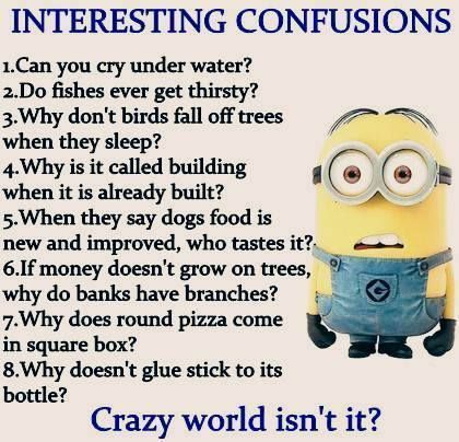 Interesting Confusions, Weird Questions Funny, Minions Jokes, Minion Stuff, Weird Questions, Minion Humour, Minion Memes, Minions Humor, Funny Minion Pictures