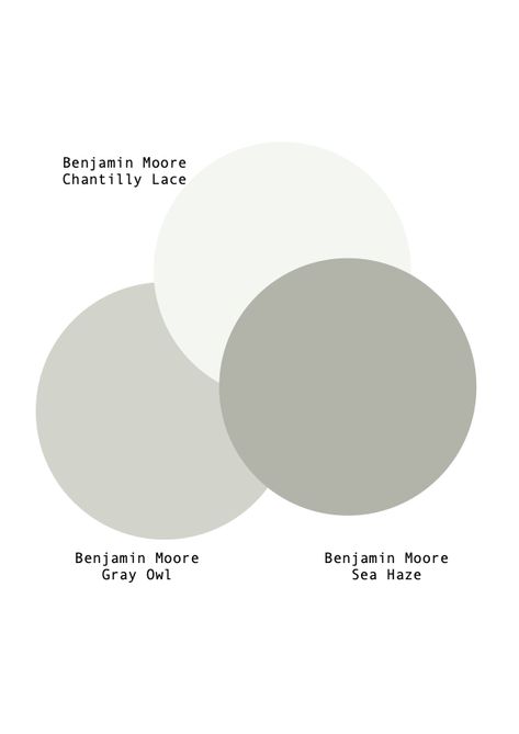 Sea Haze Benjamin Moore, Benjamin Moore Chantilly Lace, Chantilly Lace Benjamin Moore, Sherwin Williams Paint Neutral, Benjamin Moore Exterior, Bold Paint Colors, Paint Color Inspiration, Neutral Paint Colors, Coastal Modern