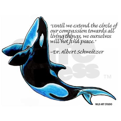 Orca Killer Whale Quotes Whale Quotes, Whale Quote, Orca Art, Orca Tattoo, Orcinus Orca, Sea Shepherd, Orca Whale, Whale Art, Stop Animal Cruelty