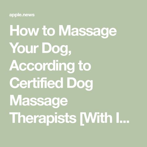 How to Massage Your Dog, According to Certified Dog Massage Therapists [With Instructional Video] Dog Massage Points, Dog Massage How To, Dog Massage Techniques, Dog Massage, Massage Techniques, Massage Therapist, Instructional Video, Massage, Dogs