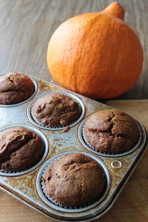 Red Kuri Squash Muffin Recipe - Rural Dreams Kuri Squash Recipe, Wholesome Lifestyle, Red Kuri Squash, Squash Muffins, Winter Breakfast, Baking Goods, Squash Recipe, Sweet Meat, Muffin Recipe