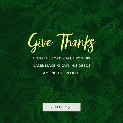 Psalm 105, Give Thanks To The Lord, Amplified Bible, Bible Plan, Bible Versions, Daily Verses, Daily Bible Verse, Verse Of The Day, Verse Quotes