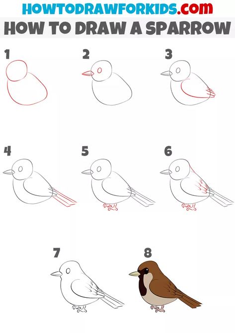 How to Draw a Sparrow for Kids How To Draw A Sparrow Step By Step, Easy Sparrow Drawing, How To Draw Sparrow, How To Draw Birds Step By Step Simple, Sparrow Drawing Simple, Birds Drawing Step By Step, How To Draw Birds Easy, How To Draw A Bird Step By Step, Sparrow Bird Drawing