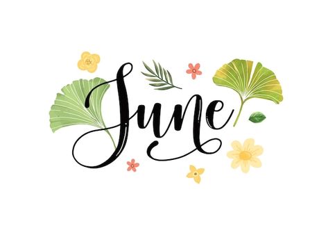 Hand drawn june month lettering typograp... | Premium Vector #Freepik #vector #welcome-design #greeting-background #floral-text #flower June Clipart, Month Lettering, Dinosaur Vector, June Month, Wallpaper Preppy, Iphone Wallpaper Preppy, Cool Dinosaurs, Family Vector, Boy Printable