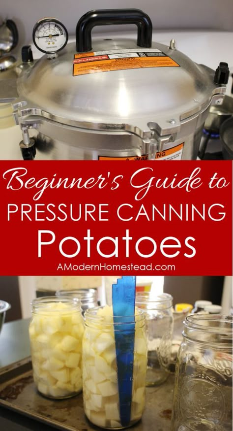 Beginner's guide to pressure canning potatoes! Man, those are SUPER detailed steps, but I really think I can actually do this!: How To Can Red Potatoes, Canning Red Potatoes, Can Potatoes, Canning Veggies, Canning Potatoes, Pressure Canning Recipes, Canned Potatoes, Canning 101, Canning Ideas