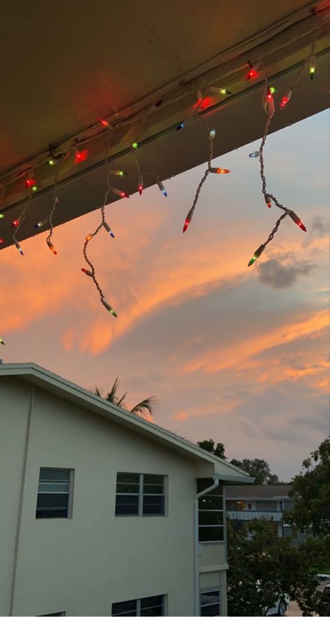 Aussie Summer Christmas, Christmas In Florida Aesthetic, Christmas Aesthetic Australia, Aussie Christmas Aesthetic, Summer Christmas Aesthetic, Sydney Christmas, Holiday Florida, Christmas In Summer, Christmas In Florida