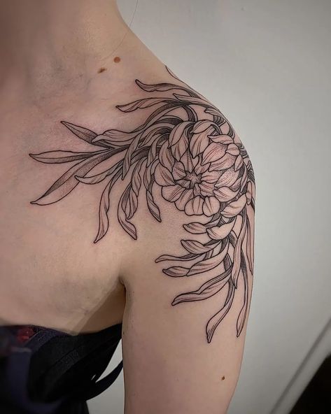 Chrysanthemum Tattoos For Women, Spider Chrysanthemum Tattoo, Chrysthemum Flower Tattoo, Chrysanthemum Shoulder Tattoo, Chrysanthemum Tattoo Shoulder, Traditional Chrysanthemum Tattoo, Black Chrysanthemum Tattoo, Chrysanthemum Tattoos, Shoulder Piece Tattoo