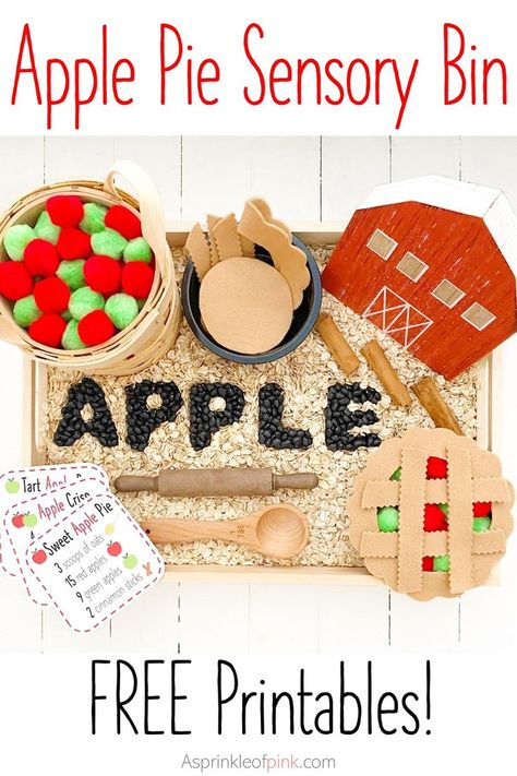 Pie Sensory Bin, Kindergarten Sensory, Making Apple Pie, Preschool Apple Theme, September Preschool, Fall Sensory Bin, Toddler Sensory Bins, Apple Lessons, Apple Preschool