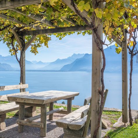 This rustic pergola draws on traditional designs to make the most of the amazing view. Ideas For The Garden, Rustic Pergola, Roof Beam, Pergola Ideas, Building A Pergola, Pergola Lighting, French Country Garden, Wooden Pergola, Picnic Spot