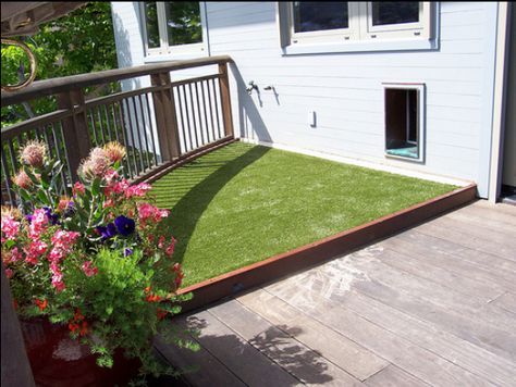 dog run with potty area Pet Patio, Dog Potty Area, Porch Potty, Dog Jumping, Dog Run, Dog Spaces, Dog Yard, Dog Potty, Dog Area