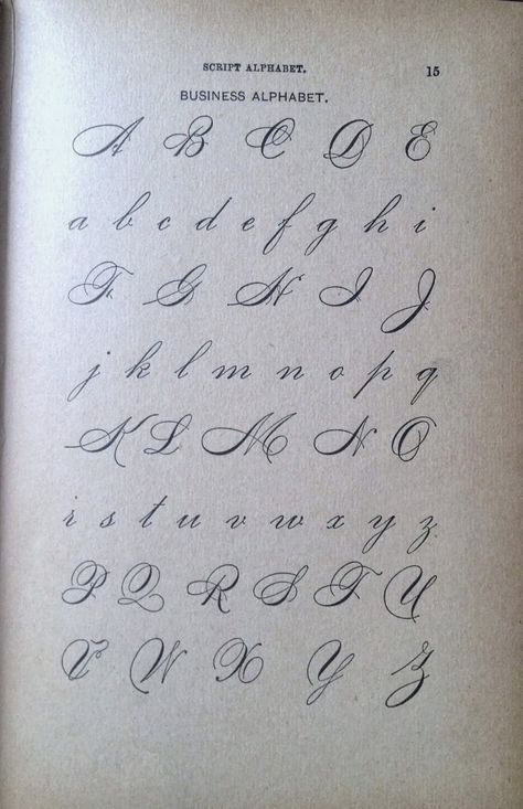 Caligrafia Copperplate, Handwritten Alphabet, Calligraphy Letters Alphabet, Fonts Handwriting Alphabet, Alphabet Lettering, Handwriting Examples, Cursive Alphabet, Copperplate Calligraphy, Handwriting Alphabet