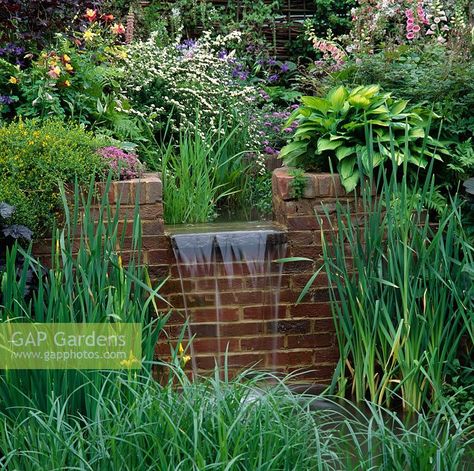 Small waterfall over brick wall into lily pond surrounded by marginals Wall Waterfall, Water Feature Wall, Garden Waterfall, Pond Waterfall, Waterfall Wall, Small Waterfall, Plant Photography, Lily Pond, Rock Pools