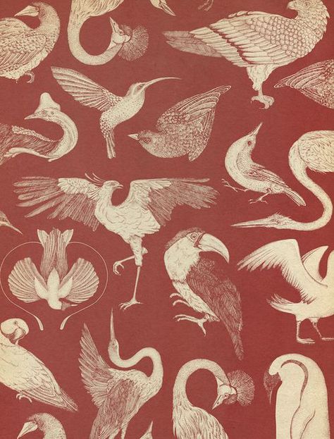 Katie Scott, Birds Wallpaper, Free Bird, Bird Wallpaper, Pattern Illustration, Textile Patterns, Stuffed Animal Patterns, Textile Prints, Surface Pattern Design