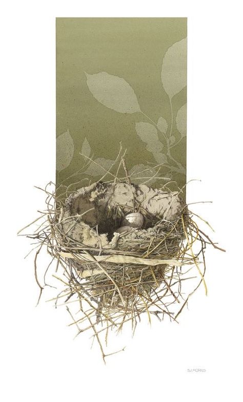 Nest Illustration, Bird Nests Art, Nest Painting, Bird Nest Painting, Nest Art, Animal Tattoo Ideas, Birds Nests, Bird Nests, Birds Nest