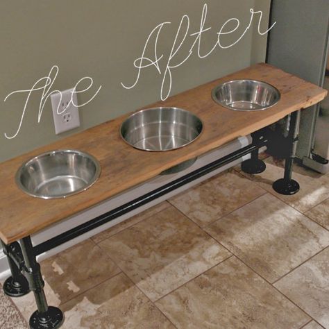 Diy Dog Gate, Dog Food Station, Shipping Furniture, Raised Dog Feeder, Dog Feeding Station, Dog Bowl Stand, Pipe Furniture, Dog Rooms, Dog Projects