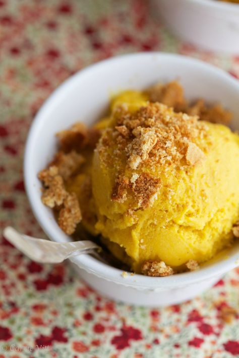 Pumpkin ice cream with crushed homemade graham crackers sprinkled overtop. Pure, fall bliss in a bowl. Pku Food, Pumpkin Ice Cream Recipe, Iced Cream, Cream Cracker, Homemade Graham Crackers, Pumpkin Ice Cream, Paleo Pumpkin, Egg Yolks, Paleo Dessert