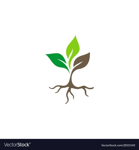 I like this visual for K-1 group. They are beyond sprouts. They are starting to put down roots to their faith Roots Logo Design Ideas, Plant Logo Ideas, Plants Logo, Logo Plant, Seed Logo, Roots Logo, Medicine Logo, Plant Logo, Plant Logos