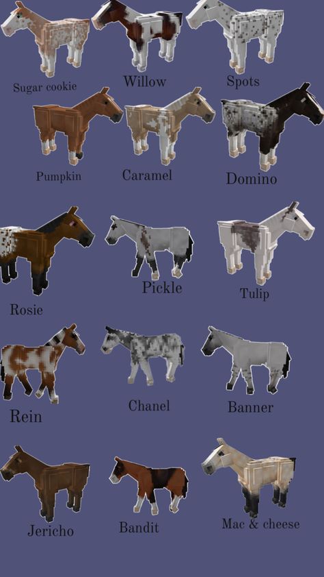 Minecraft Horse Stables, Minecraft Horse, Unusual Horse, Horse Barn Ideas Stables, Horse Art Drawing, Horse Coat Colors, Horse Barn Designs, Drawing Stars, Pony Breeds