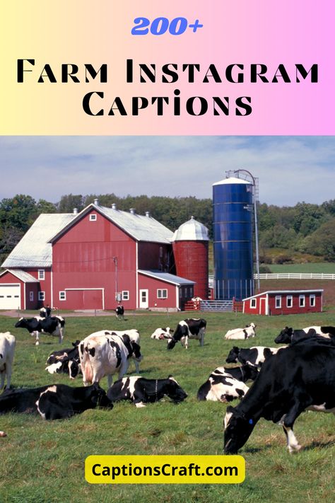 Find the perfect captions for your farm photos that will make your followers stop scrolling and engage with your content. Captions that showcase the beauty of. Farm Captions Instagram, Animal Farm Quotes, Content Captions, Farm Instagram, Best Instagram Captions, Life Captions, Song Captions, Animal Captions, Captions For Instagram Posts