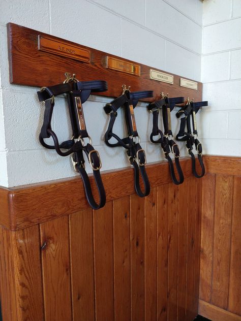 Barn Organization Ideas, Tack Storage, Barn Organization, Honor Code, Tack Box, Horse Riding Helmets, Ranch Ideas, Horse Barn Designs, Honor Roll