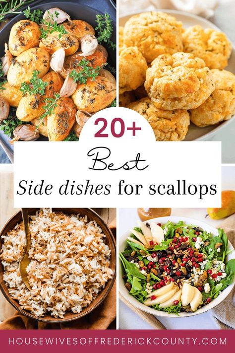 best side dishes for scallops Side Dishes For Scallops, Roasted Mini Potatoes, Sauteed Scallops, Creamy Lemon Pasta, Scallop Recipe, Delicious Side Dishes, Mini Potatoes, Sauteed Green Beans, Pasta Side Dishes