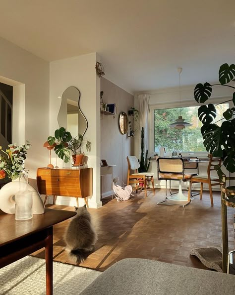 Comfy House Aesthetic Living Room, Mid Century Scandinavian Living Rooms, Floor Living Room, Vintage Apartment, Lots Of Plants, Apartment Aesthetic, Home Decor Ideas Bedroom, Apartment Decor Inspiration, Decor Ideas Bedroom