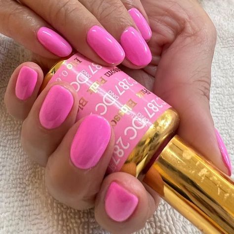 Barbie Pink Gel Polish, Dnd Crayola Pink, Gel Nail Polishes, Dnd Bright Pinks, Dnd Painted Daisy, Pink Summer Toe Nails, Dnd Gel Pedicure, Dnd Pink Nail Colors, Dnd Blossom Pink