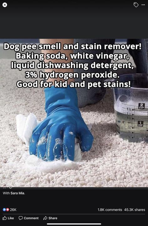 Clean Dishwasher Vinegar, Dog Pee Smell, Pee Smell, Homemaking Tips, Easy Cleaning Hacks, Diy Cleaning Solution, Homemade Cleaning Solutions, Diy Cleaning Hacks, Diy Home Cleaning