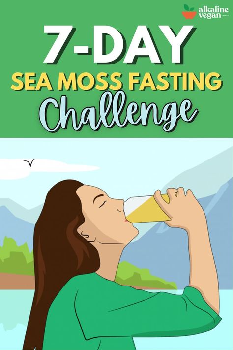 Sea Moss Fasting Challenge How To Eat Sea Moss, How Much Sea Moss To Take Daily, What Is Sea Moss Good For, Sea Moss Fasting, Health Benefits Of Sea Moss, Seamoss Gummies Recipe, Dr Sebi Fasting Plan, Sea Moss Gel Benefits For Women, Seamoss Drinks