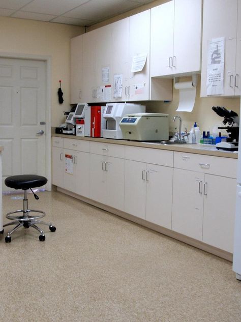 Our in-house lab station. Pathology Lab Interior Design, Veterinary Organization, Veterinary Laboratory, Lab Organization, Vet Surgery, Makerspace Design, Medical Office Decor, Pathology Lab, Canopy Architecture