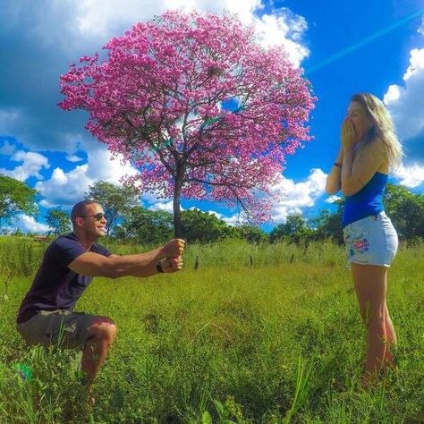 38 Fun Pics For Your Friday Photo Orgy - Wow Gallery Flowers Photoshoot, Illusion Photography, Bff Poses, Forced Perspective, Perspective Photography, Traveling Abroad, Photography Flowers, Foto Tips, Photography Challenge